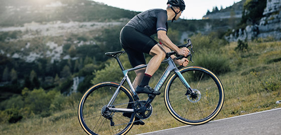 Wilier Triestina Image