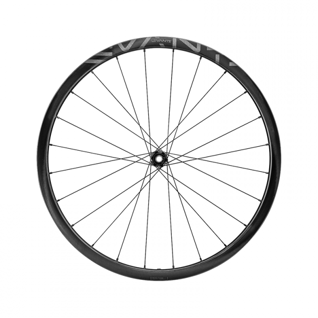 Campagnolo Levante Carbon Disc Clincher 2WF C25