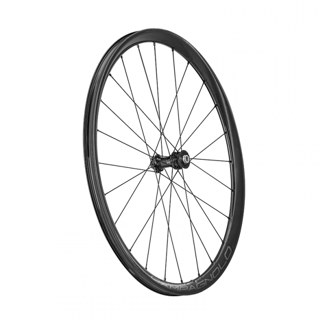 Campagnolo Levante Carbon Disc Clincher 2WF C25 Wielset