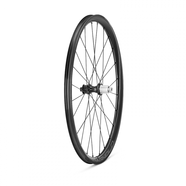 Campagnolo Levante Carbon Disc Clincher 2WF C25