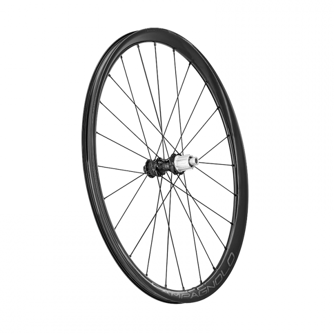 Juego de ruedas Campagnolo Levante Carbon Disc Clincher 2WF C25