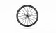Lightweight Pfadfinder EVO tubeless DISC Schwarz ED