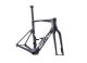 BMC Teammachine R 01 Frameset VAR0 Lightweight Carbon