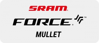 SRAM Force / Eagle eTap AXS Disc Mullet 1x12 Gruppe
