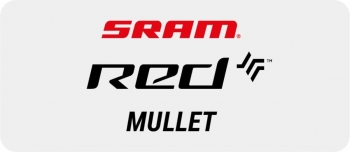 SRAM Red / Eagle eTap AXS Disc Mullet 1x12 Gruppe