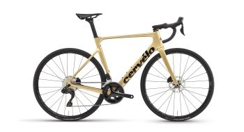 Cervélo Soloist Shimano 105 Di2 Gold Dust