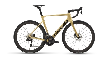 Cervélo Soloist  Shimano  Ultegra Di2 Gold Dust